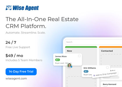 Wise Agent Logo Horizontal